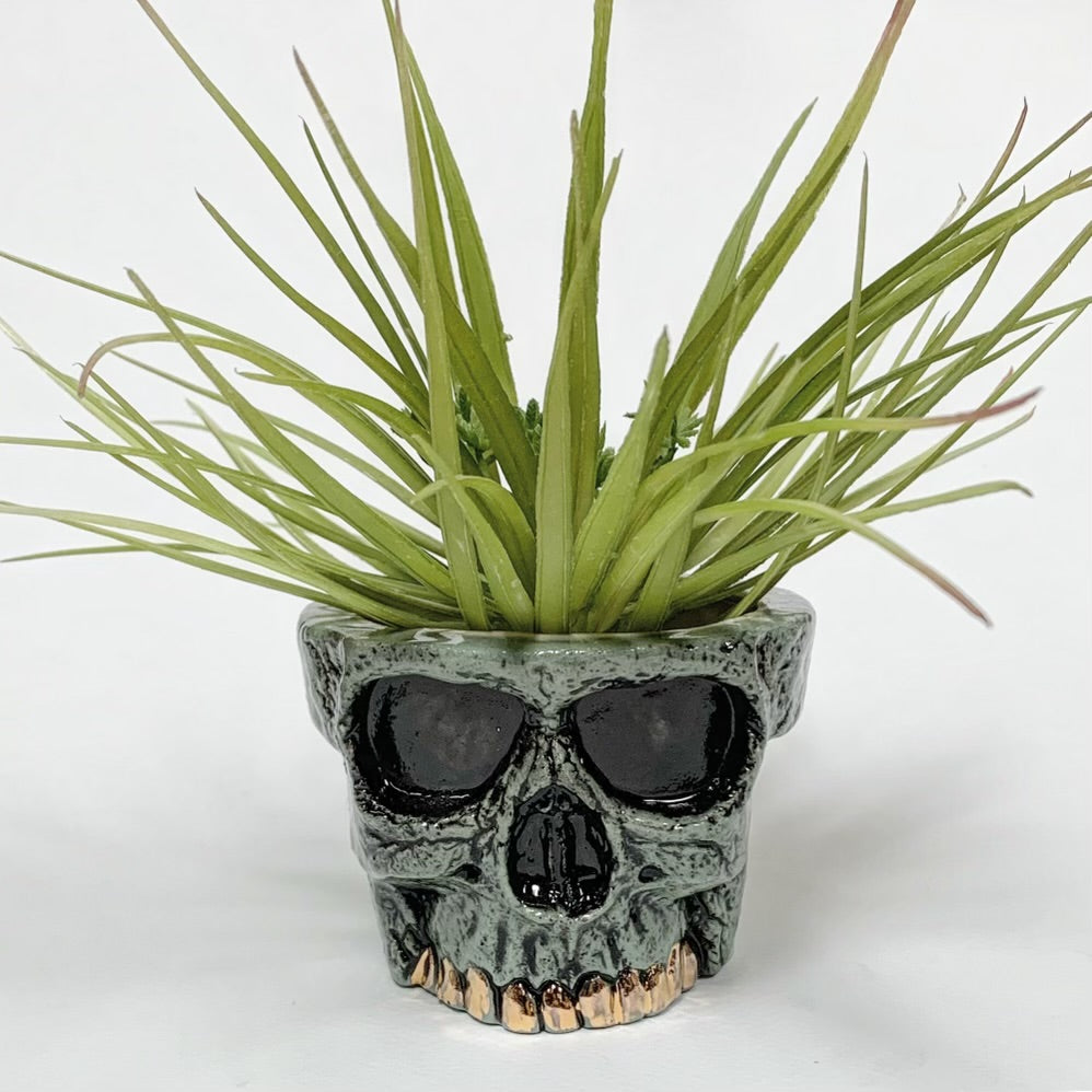 Planters