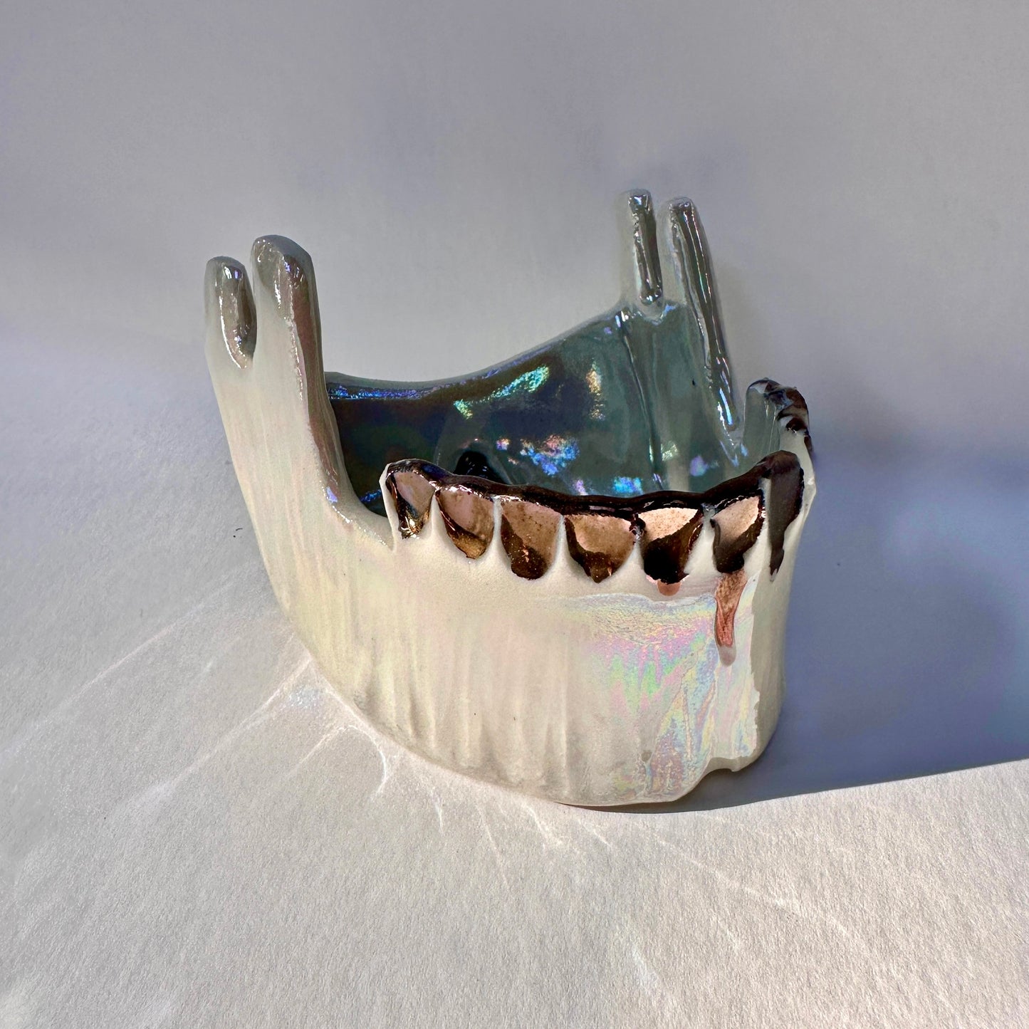 Wolf Jawbone Tray