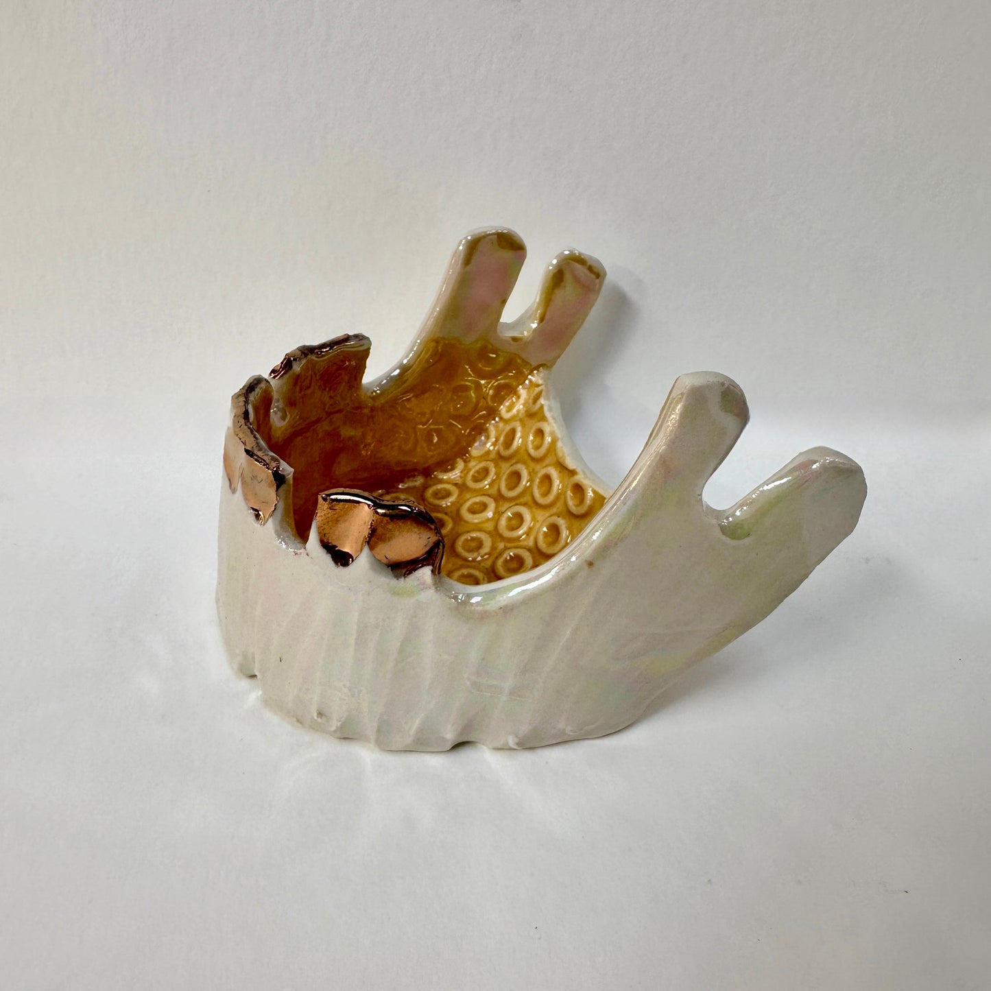Yellow Textured Jawbone Tray