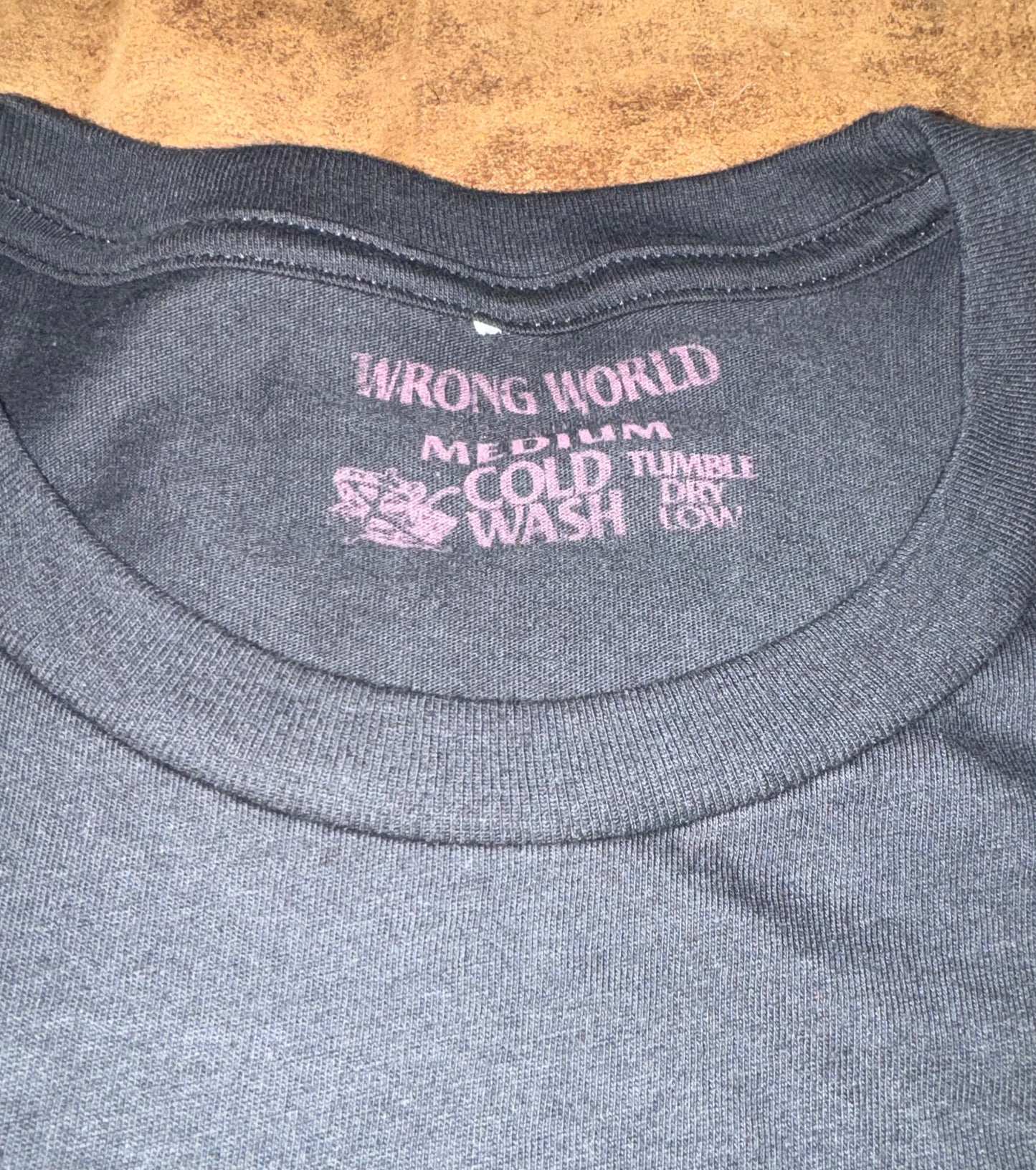 Birds are Government spies Shirt