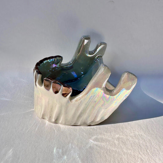 Wolf Jawbone Tray