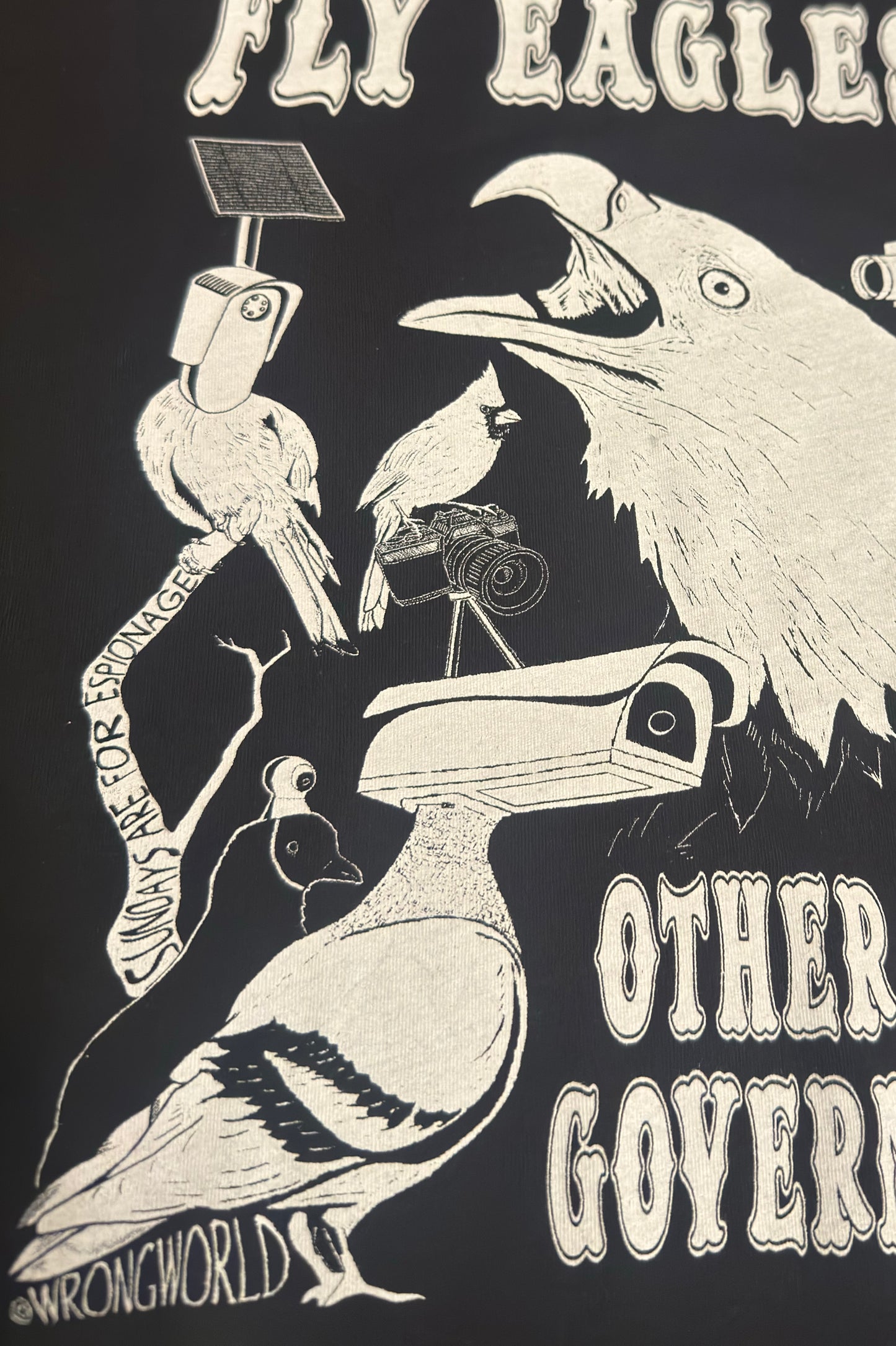 Birds are Government spies Shirt
